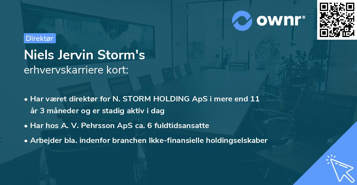 Niels Jervin Storm's erhvervskarriere kort