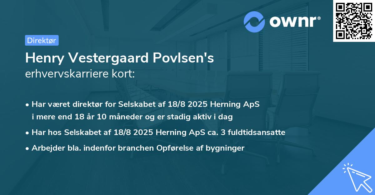 Henry Vestergaard Povlsen's erhvervskarriere kort