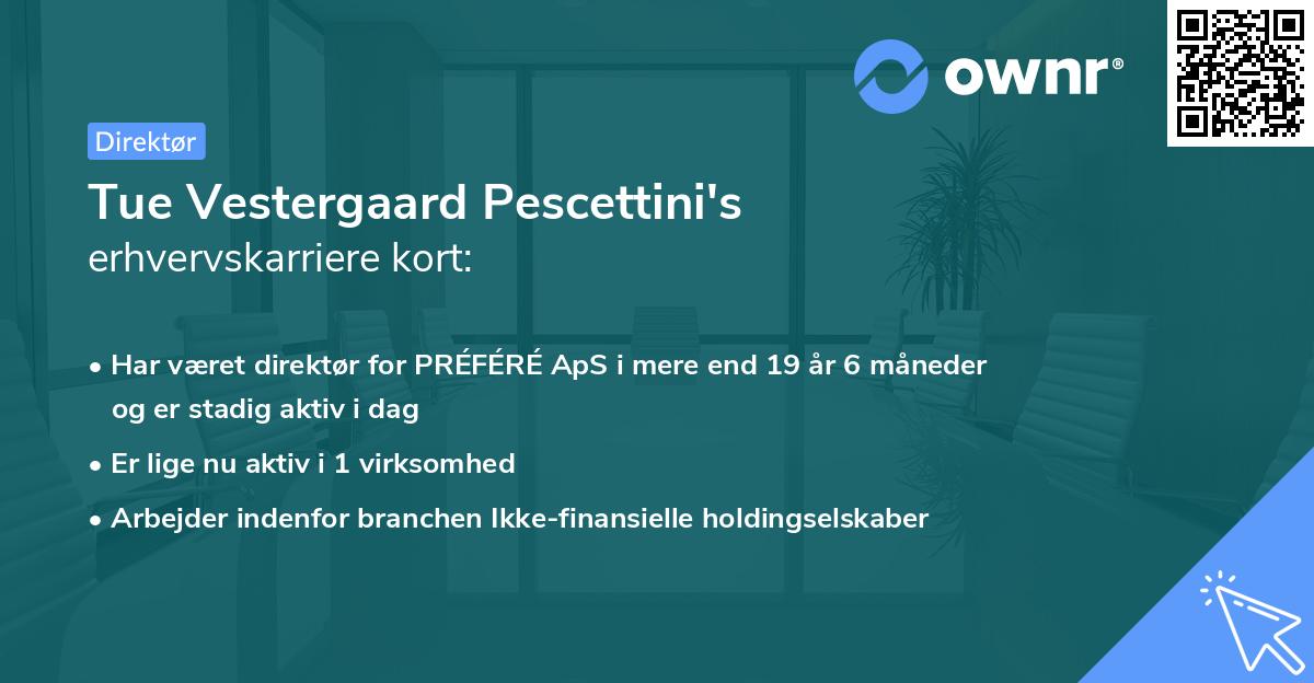 Tue Vestergaard Pescettini's erhvervskarriere kort