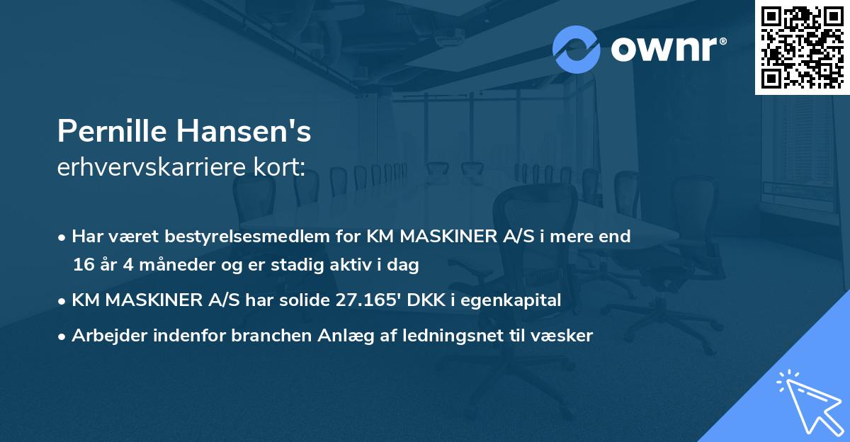 Pernille Hansen's erhvervskarriere kort