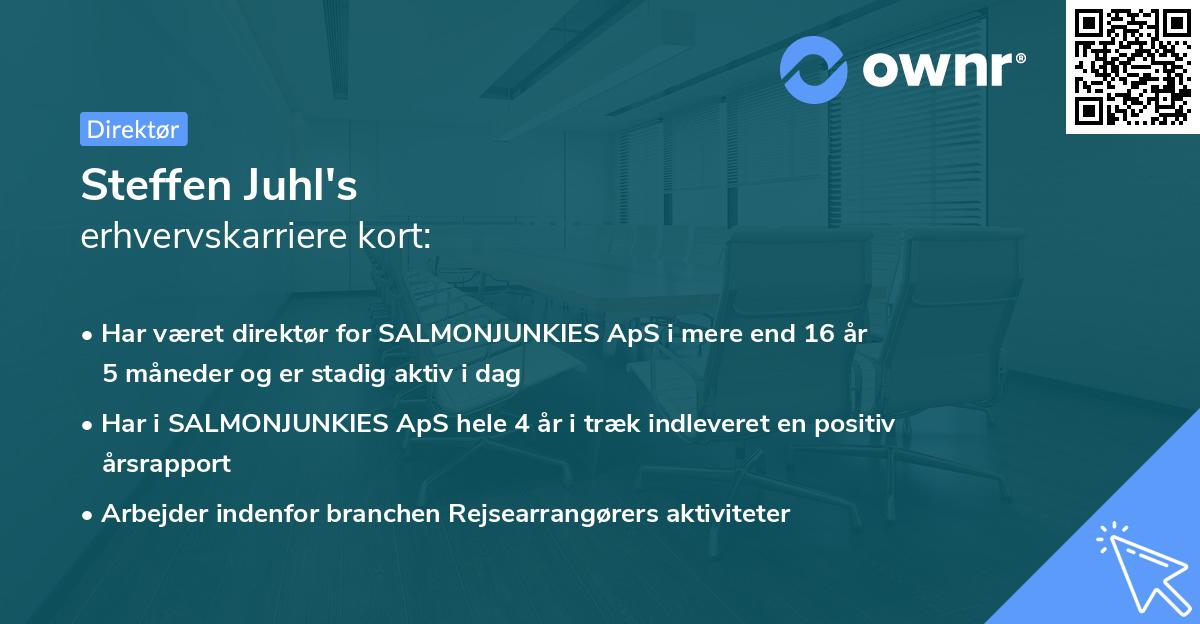 Steffen Juhl's erhvervskarriere kort