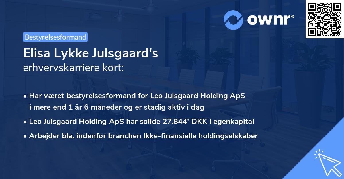 Elisa Lykke Julsgaard's erhvervskarriere kort