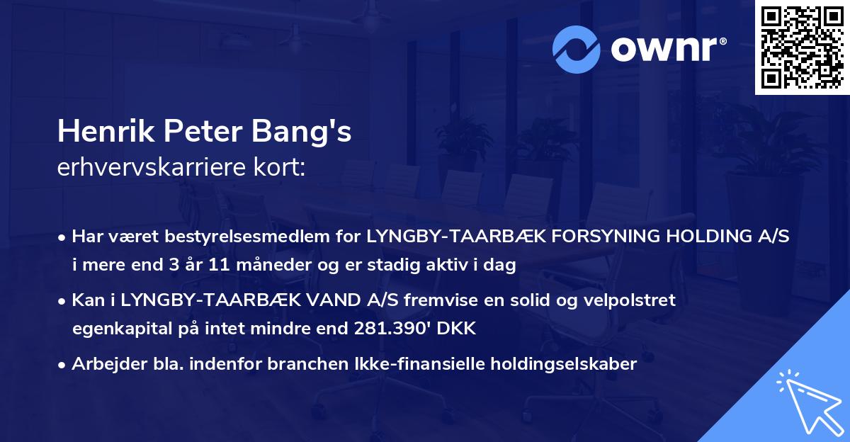 Henrik Peter Bang's erhvervskarriere kort
