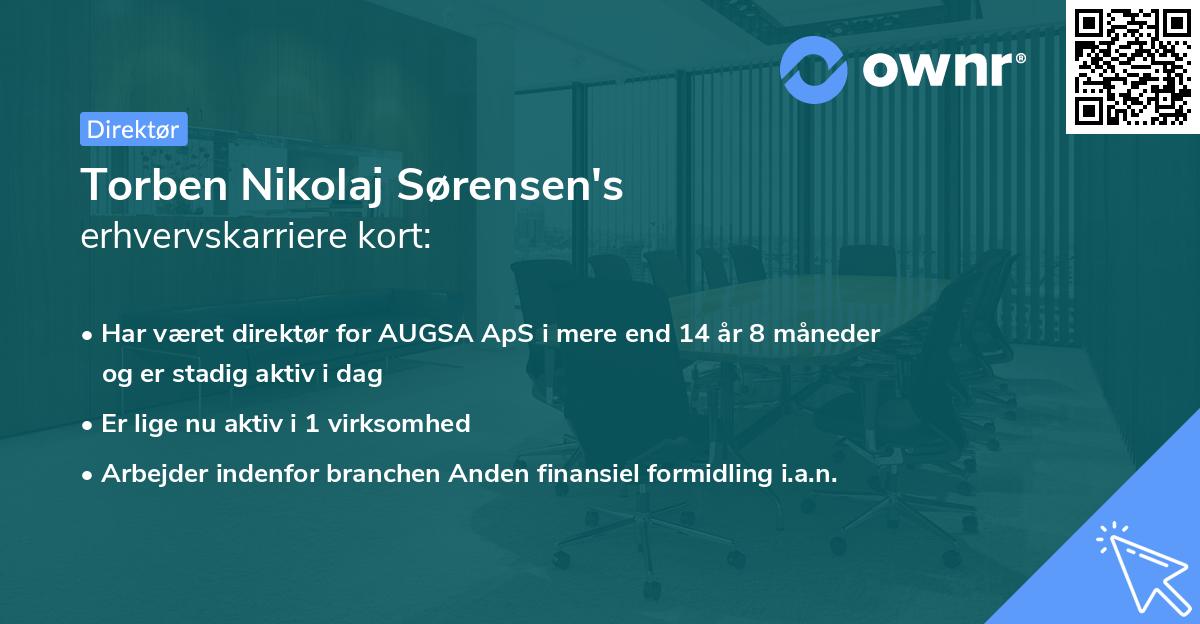 Torben Nikolaj Sørensen's erhvervskarriere kort