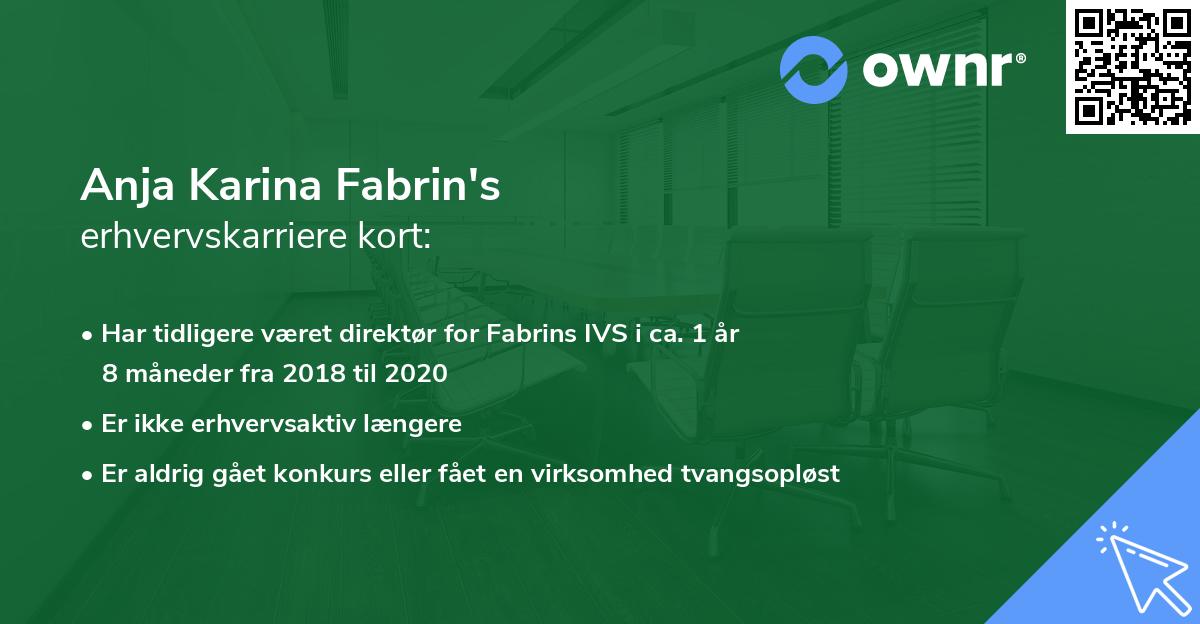 Anja Karina Fabrin's erhvervskarriere kort