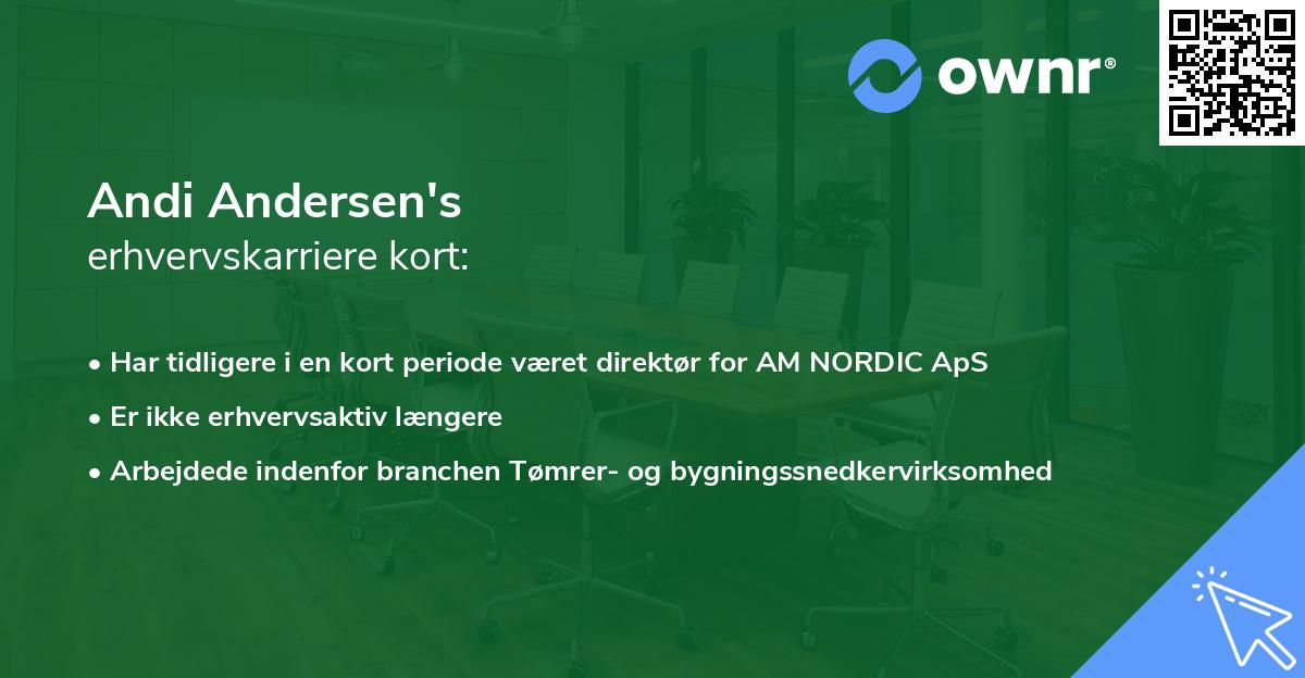 Andi Andersen's erhvervskarriere kort