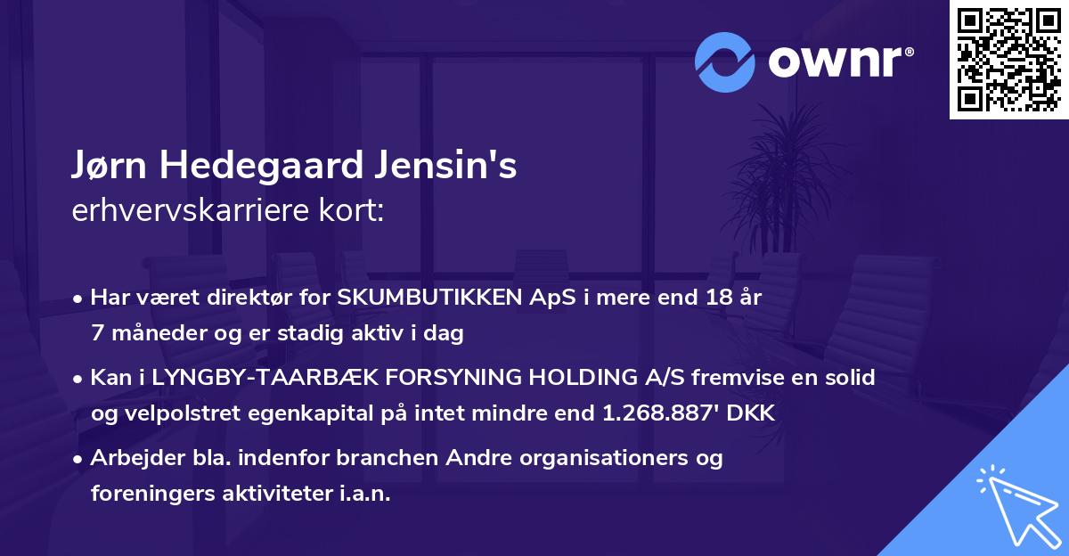 Jørn Hedegaard Jensin's erhvervskarriere kort