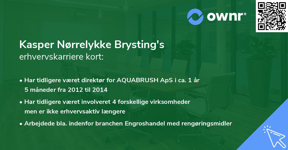 Kasper Nørrelykke Brysting's erhvervskarriere kort