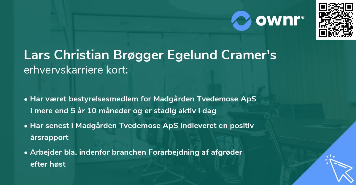 Lars Christian Brøgger Egelund Cramer's erhvervskarriere kort