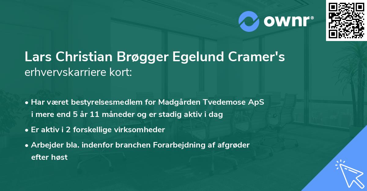 Lars Christian Brøgger Egelund Cramer's erhvervskarriere kort