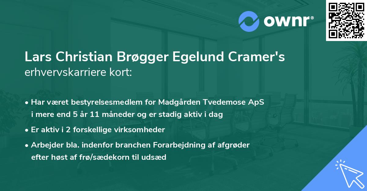 Lars Christian Brøgger Egelund Cramer's erhvervskarriere kort