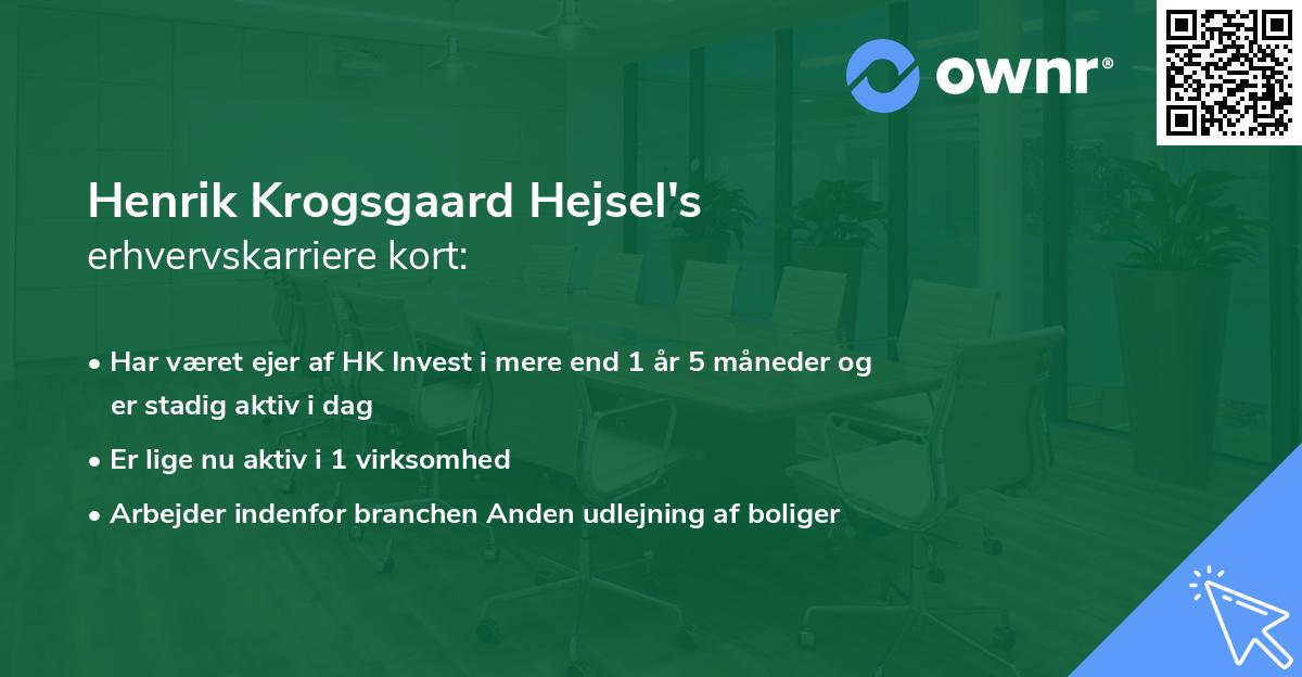 Henrik Krogsgaard Hejsel's erhvervskarriere kort