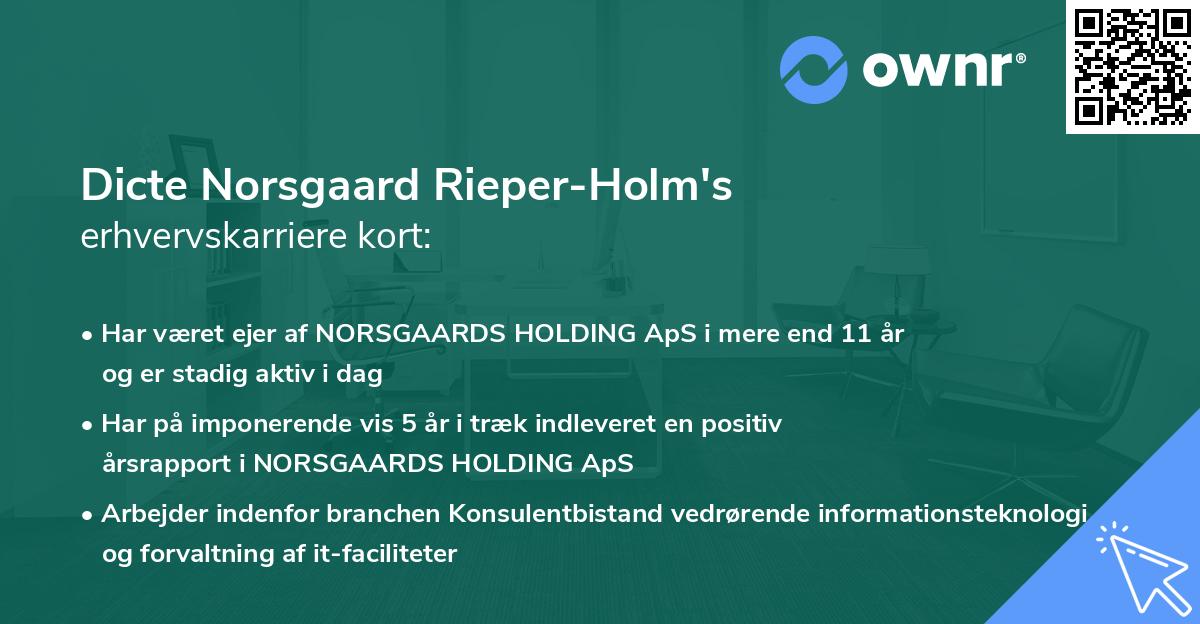 Dicte Norsgaard Rieper-Holm's erhvervskarriere kort