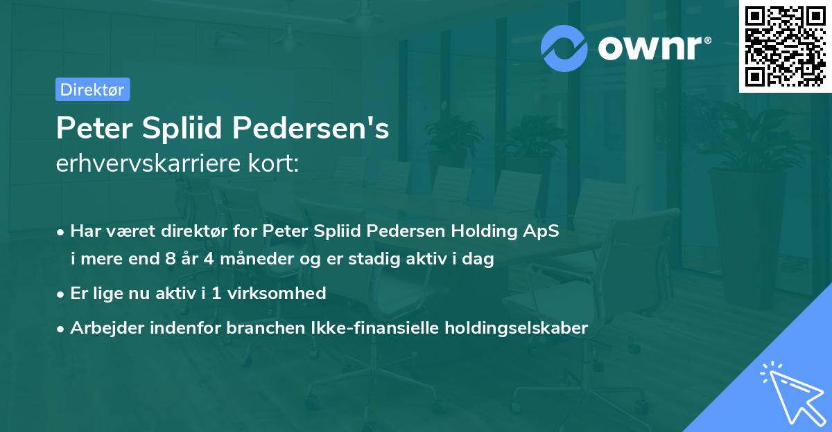 Peter Spliid Pedersen's erhvervskarriere kort