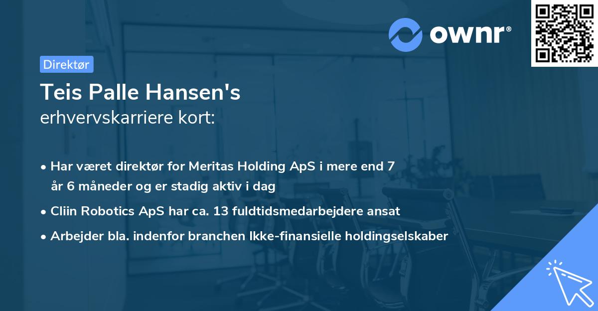 Teis Palle Hansen's erhvervskarriere kort