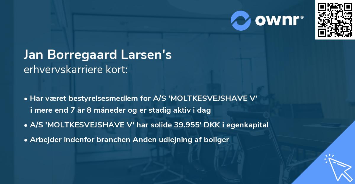 Jan Borregaard Larsen's erhvervskarriere kort