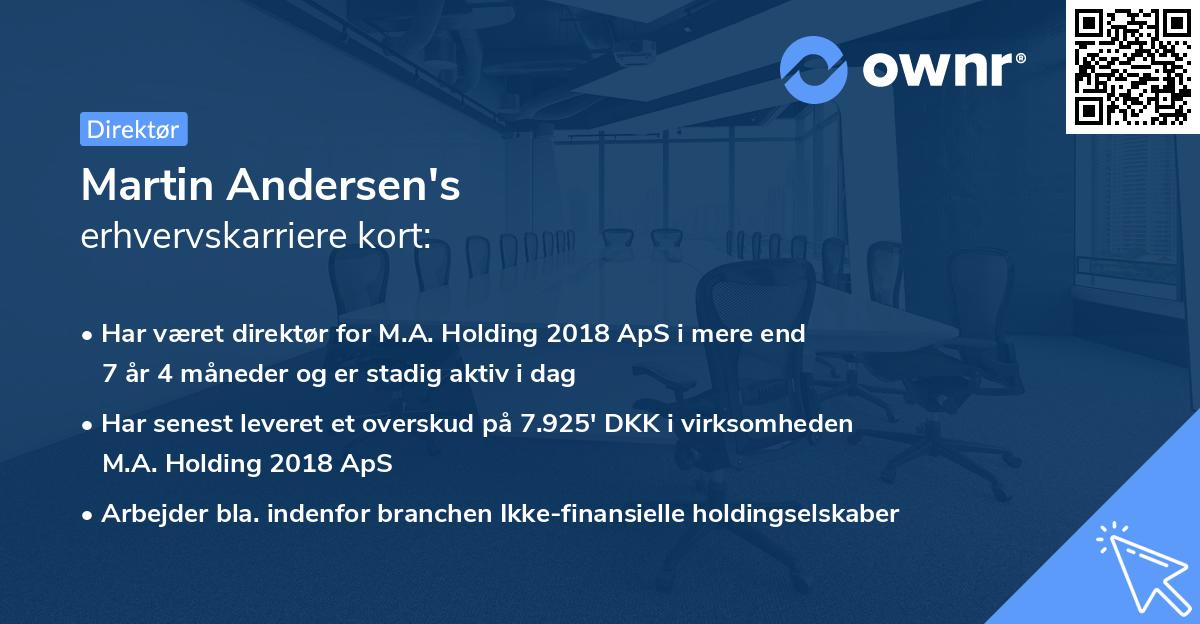 Martin Andersen's erhvervskarriere kort