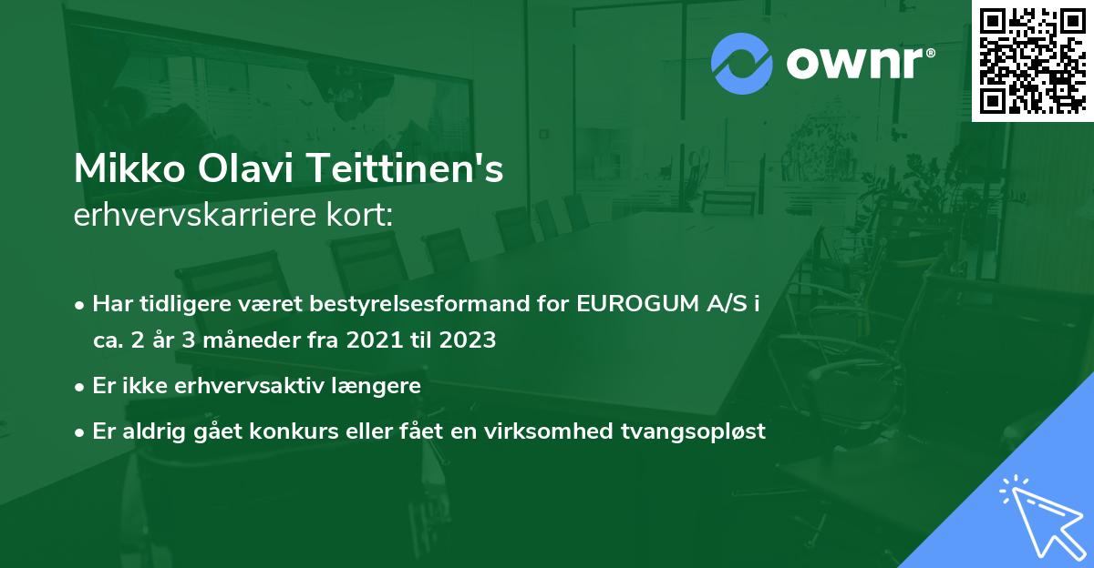 Mikko Olavi Teittinen's erhvervskarriere kort