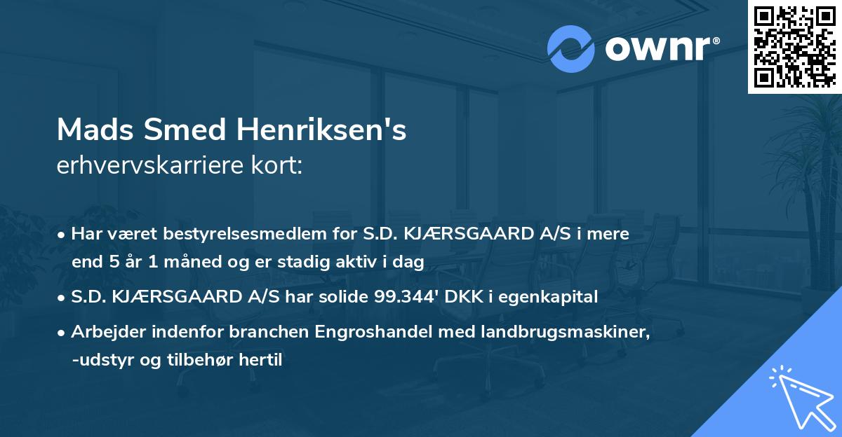 Mads Smed Henriksen's erhvervskarriere kort