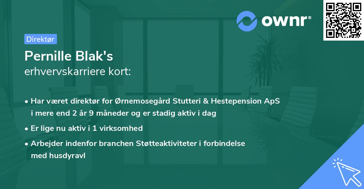 Pernille Blak's erhvervskarriere kort