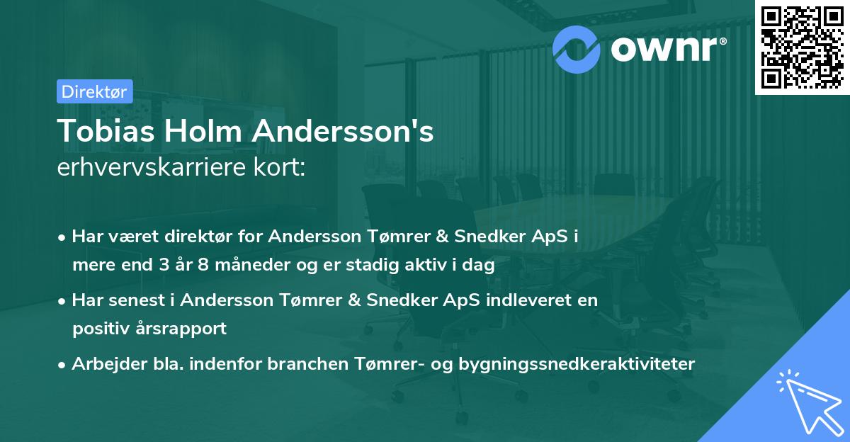 Tobias Holm Andersson's erhvervskarriere kort