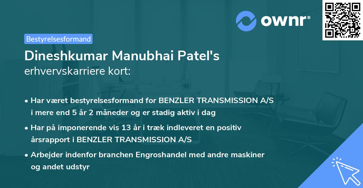 Dineshkumar Manubhai Patel's erhvervskarriere kort
