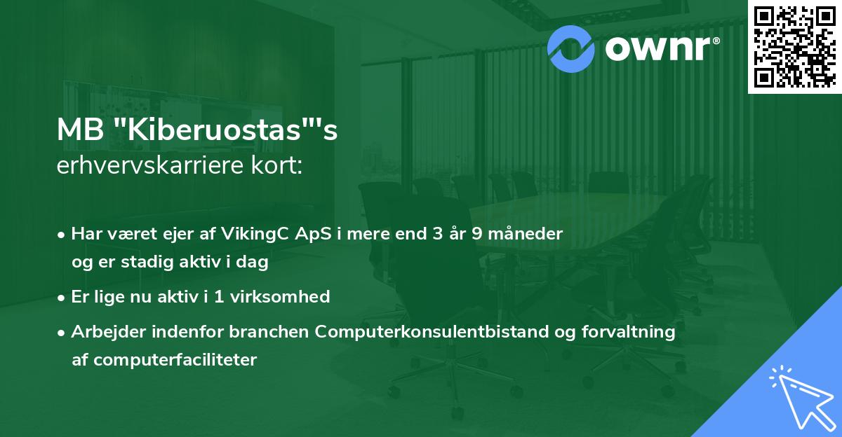 MB "Kiberuostas"'s erhvervskarriere kort