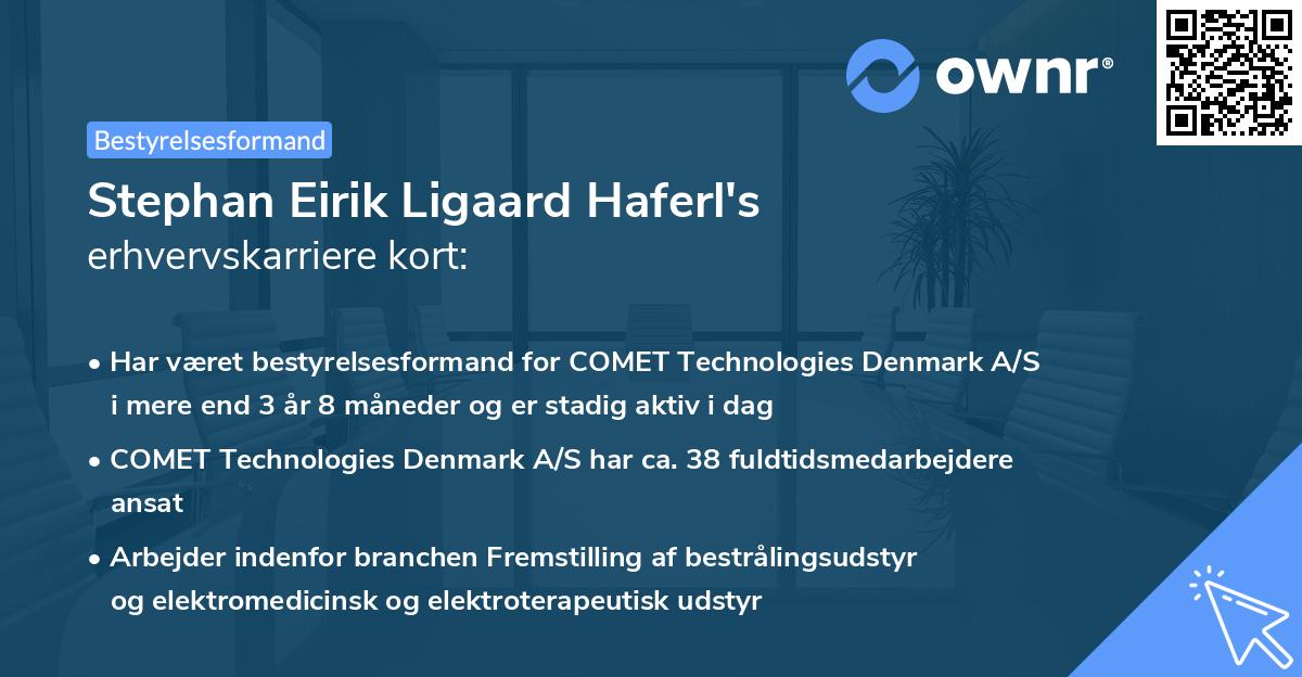 Stephan Eirik Ligaard Haferl's erhvervskarriere kort