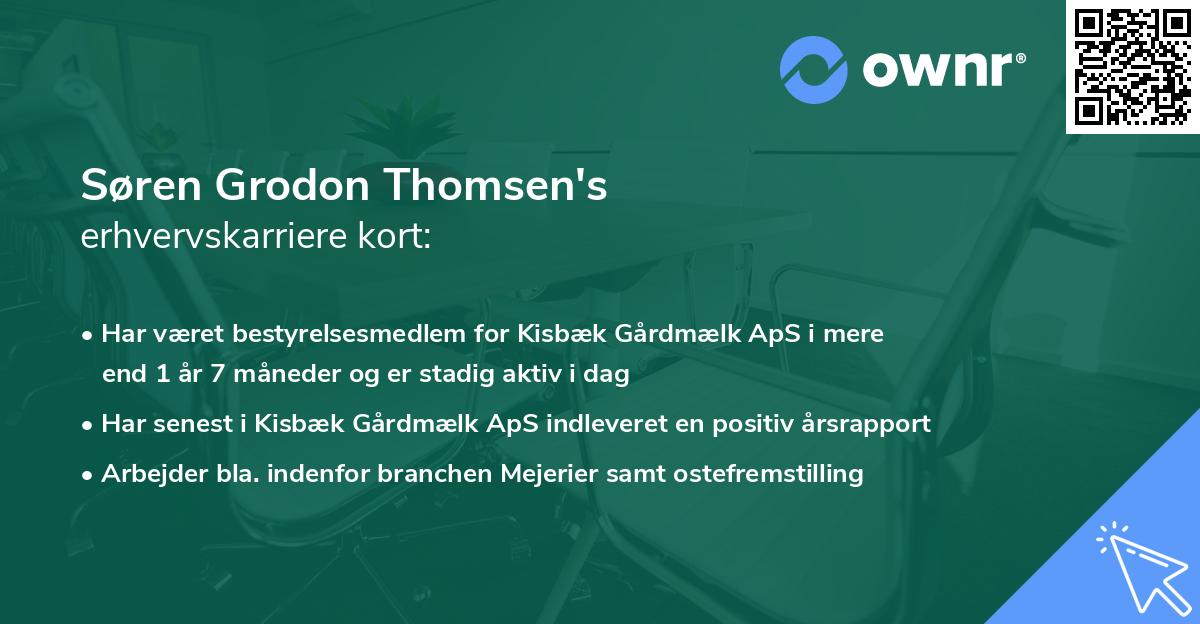 Søren Grodon Thomsen's erhvervskarriere kort