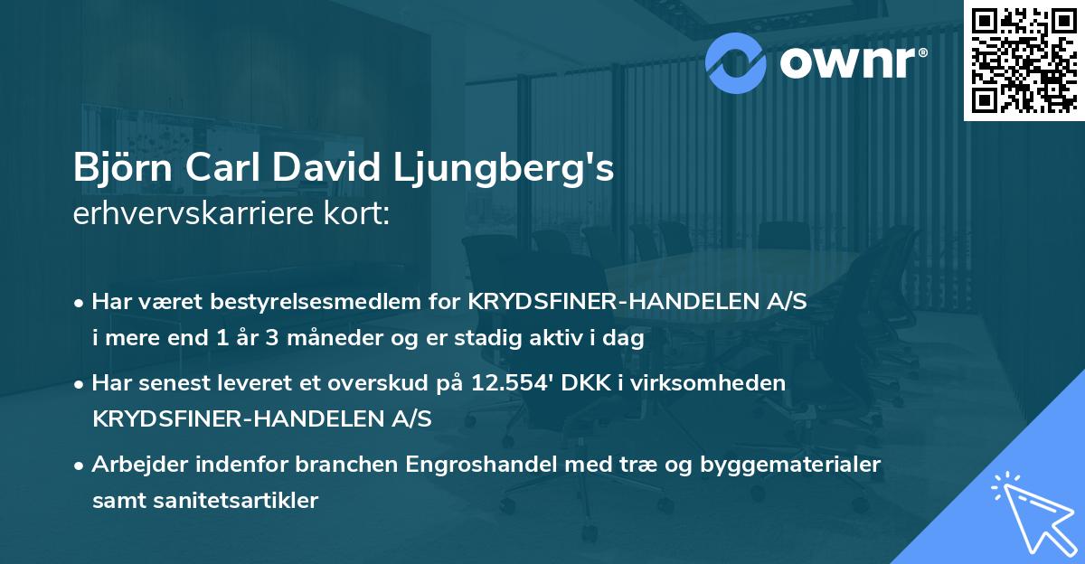 Björn Carl David Ljungberg's erhvervskarriere kort