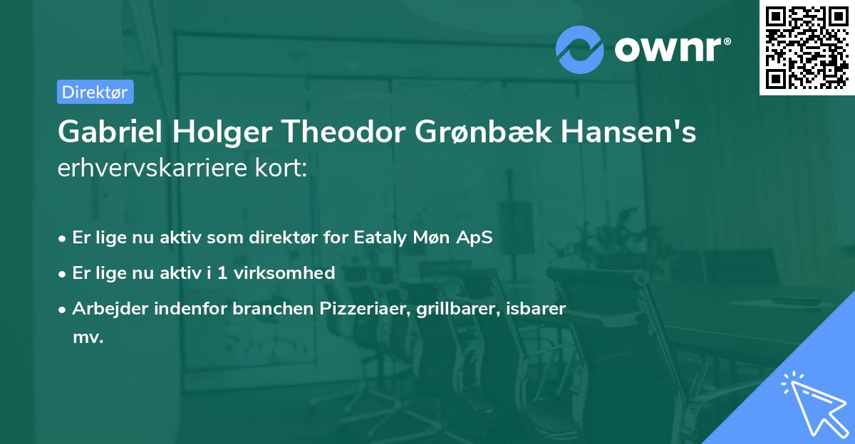 Gabriel Holger Theodor Grønbæk Hansen's erhvervskarriere kort