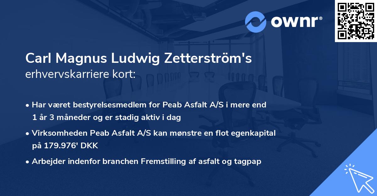 Carl Magnus Ludwig Zetterström's erhvervskarriere kort