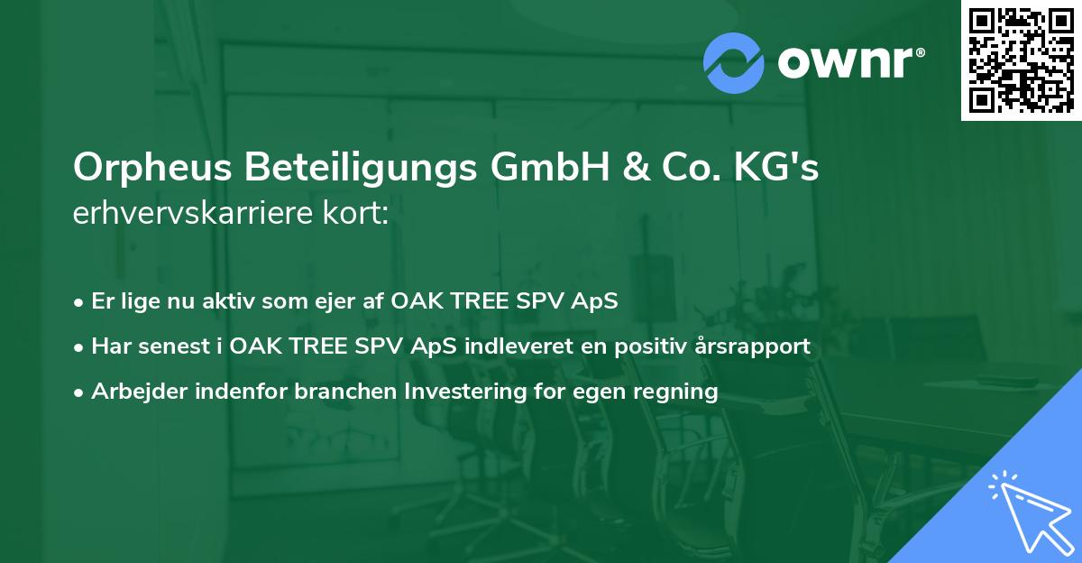 Orpheus Beteiligungs GmbH & Co. KG's erhvervskarriere kort