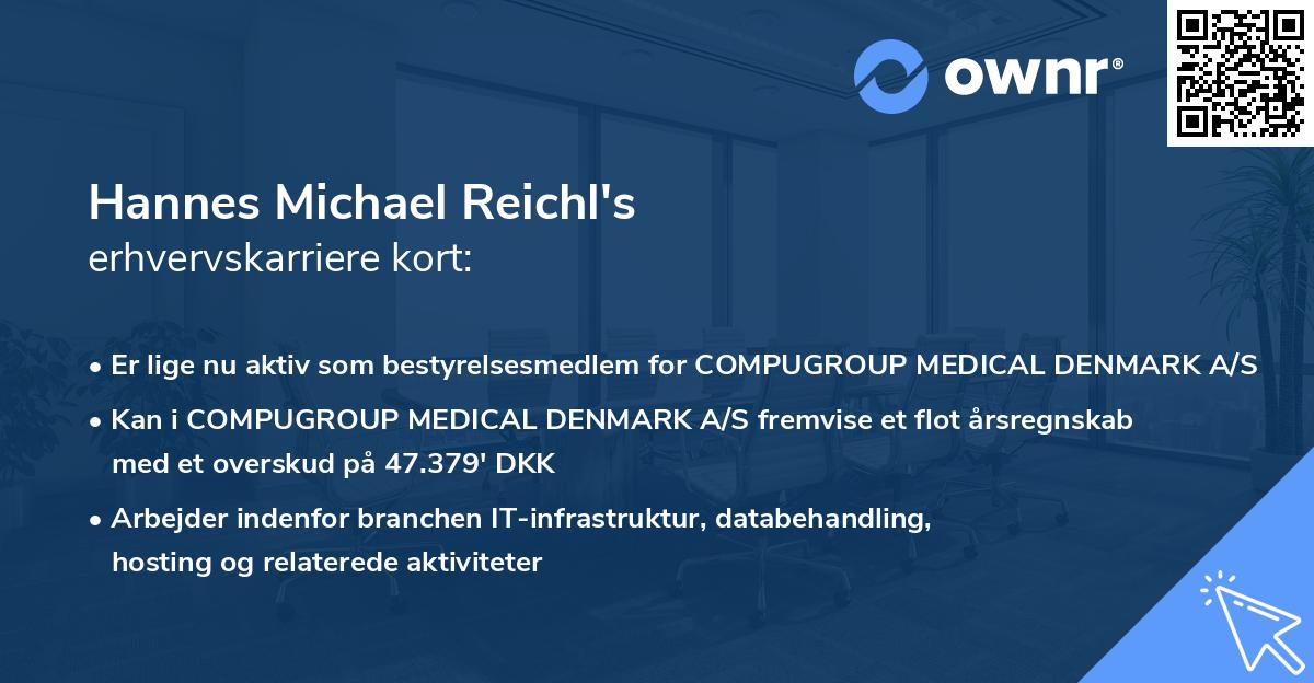 Hannes Michael Reichl's erhvervskarriere kort