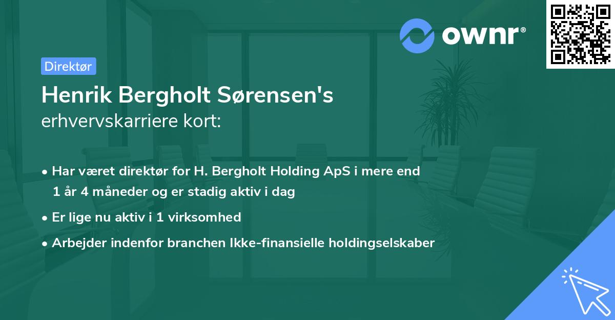 Henrik Bergholt Sørensen's erhvervskarriere kort