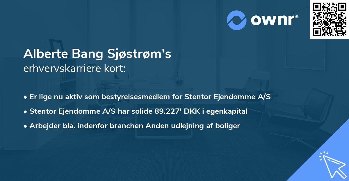 Alberte Bang Sjøstrøm's erhvervskarriere kort