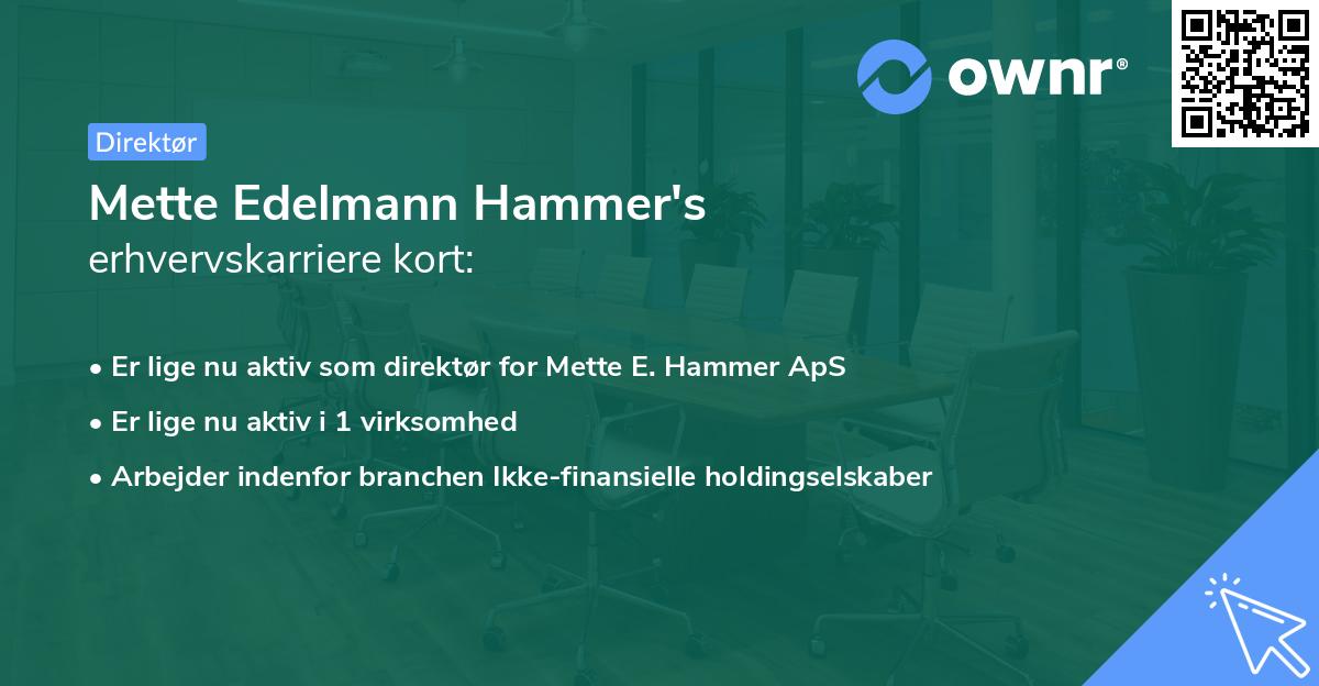 Mette Edelmann Hammer's erhvervskarriere kort