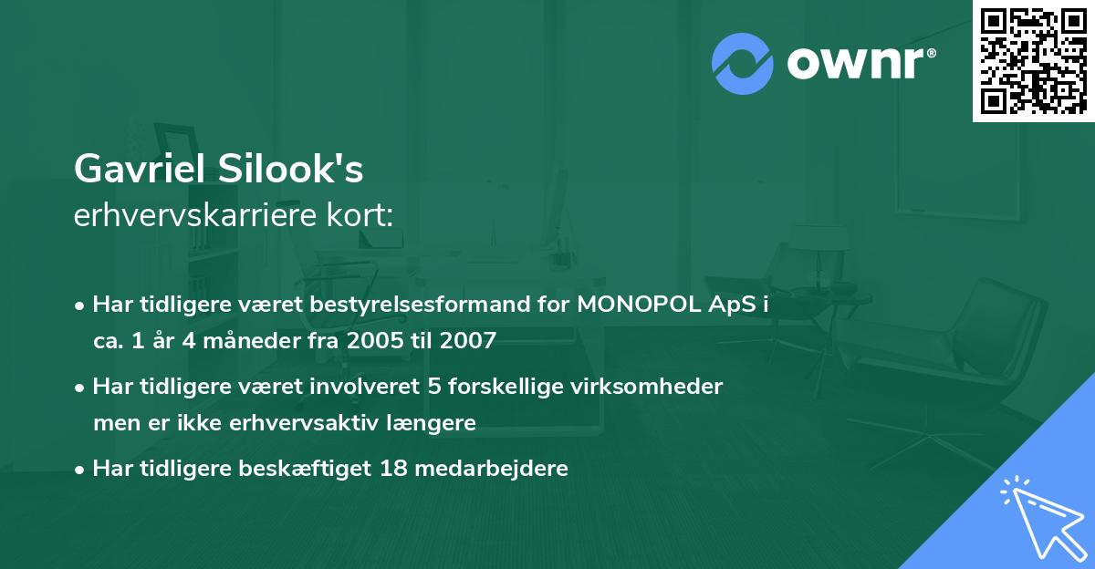 Gavriel Silook's erhvervskarriere kort
