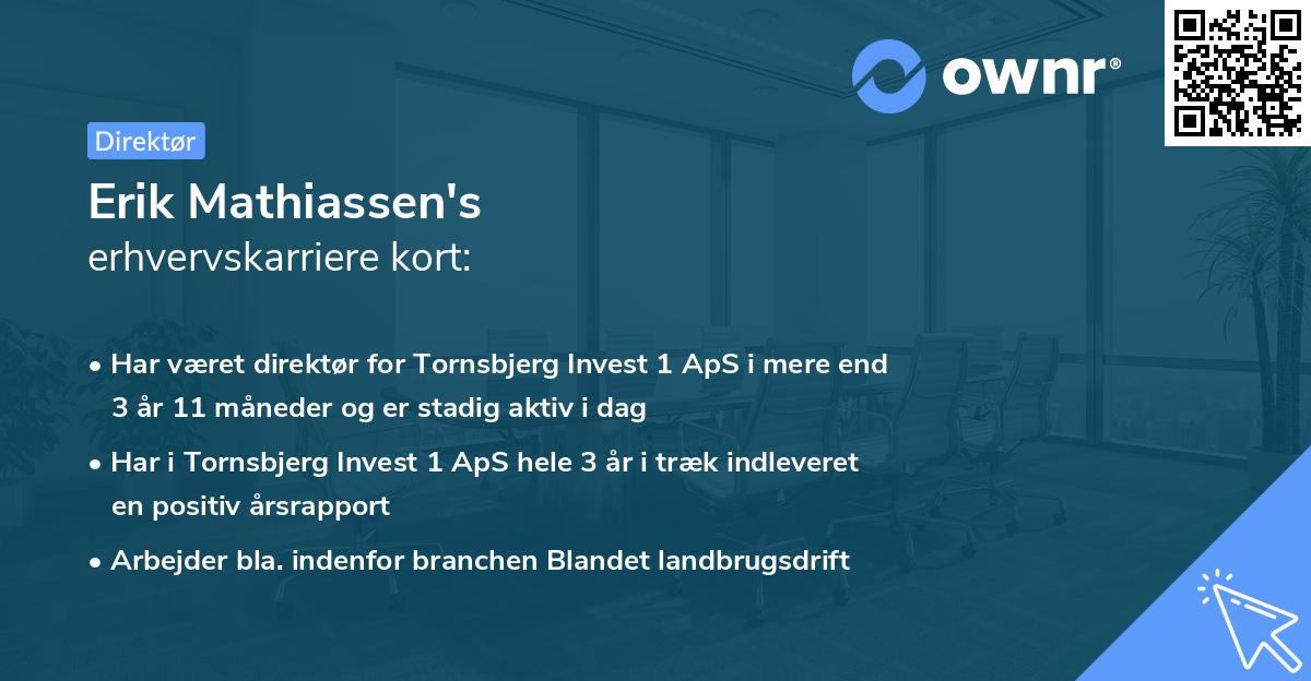 Erik Mathiassen's erhvervskarriere kort