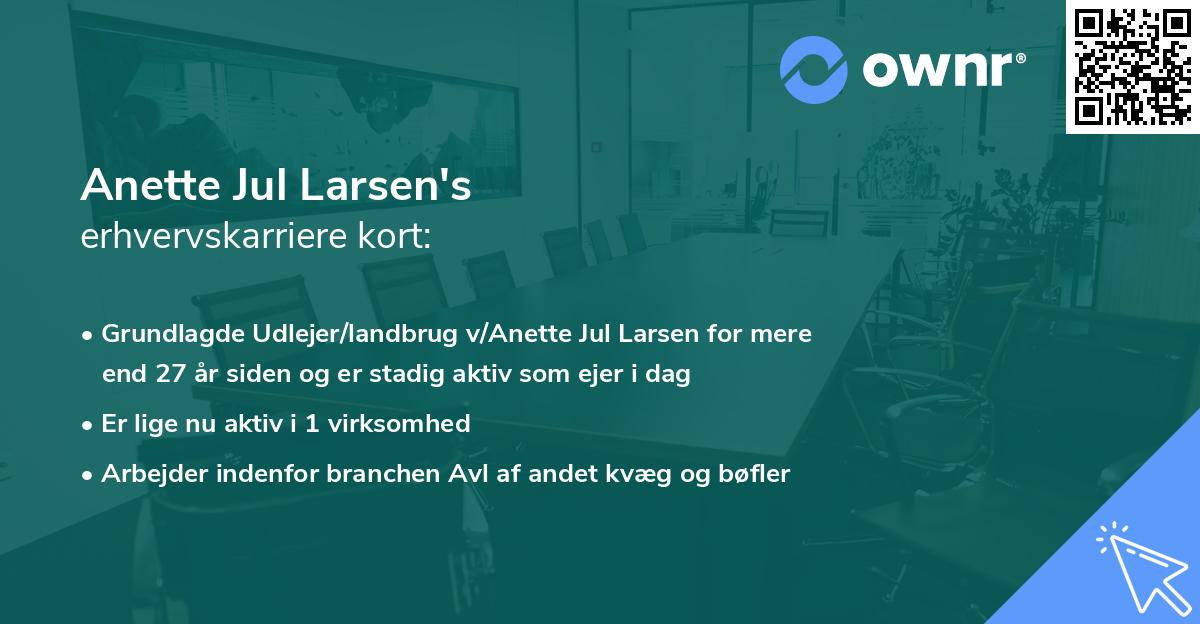 Anette Jul Larsen's erhvervskarriere kort