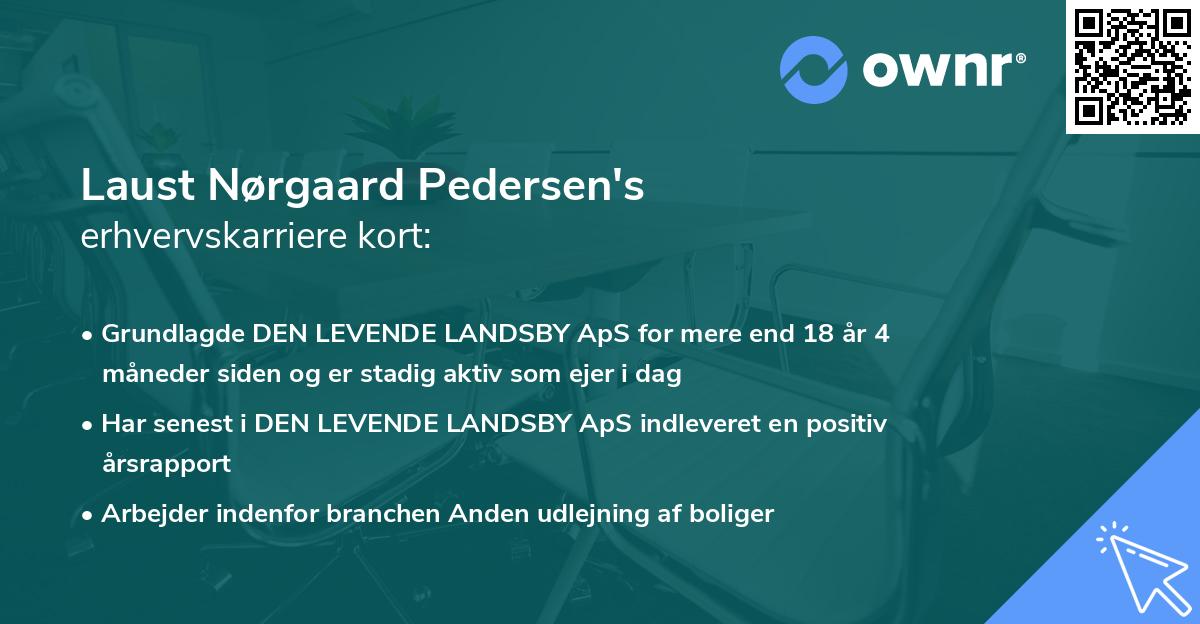 Laust Nørgaard Pedersen's erhvervskarriere kort
