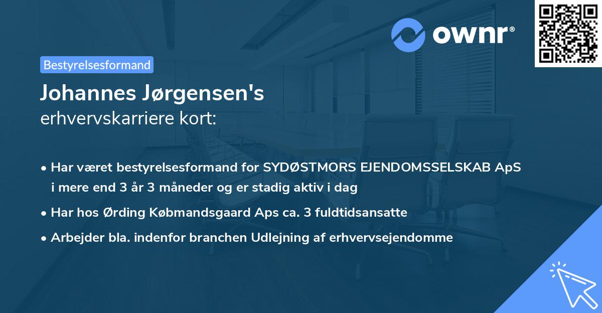 Johannes Jørgensen's erhvervskarriere kort