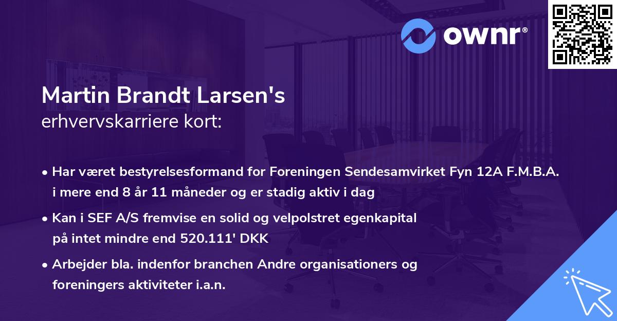 Martin Brandt Larsen's erhvervskarriere kort