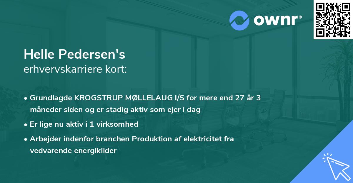 Helle Pedersen's erhvervskarriere kort