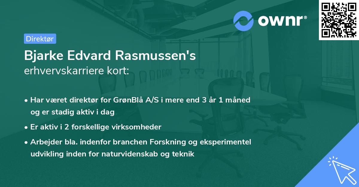 Bjarke Edvard Rasmussen's erhvervskarriere kort