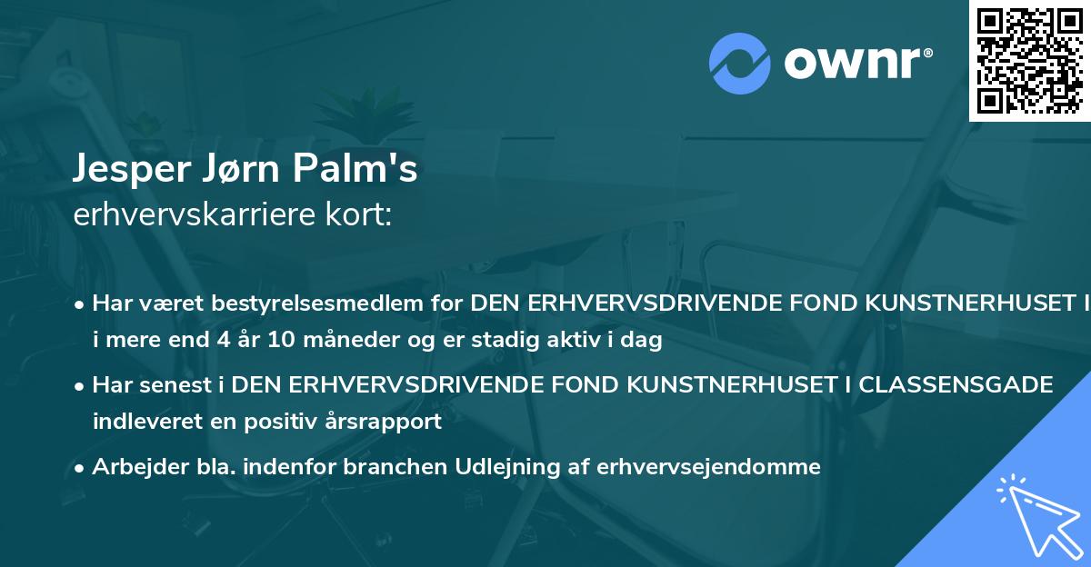 Jesper Jørn Palm's erhvervskarriere kort