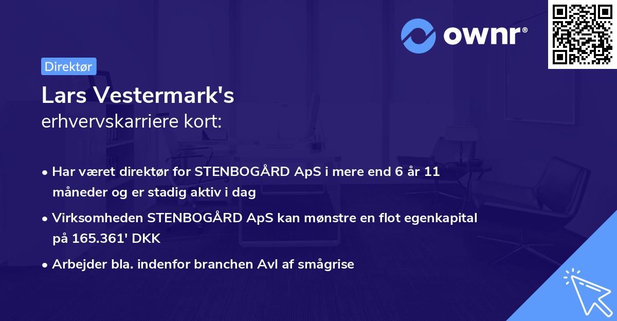 Lars Vestermark's erhvervskarriere kort