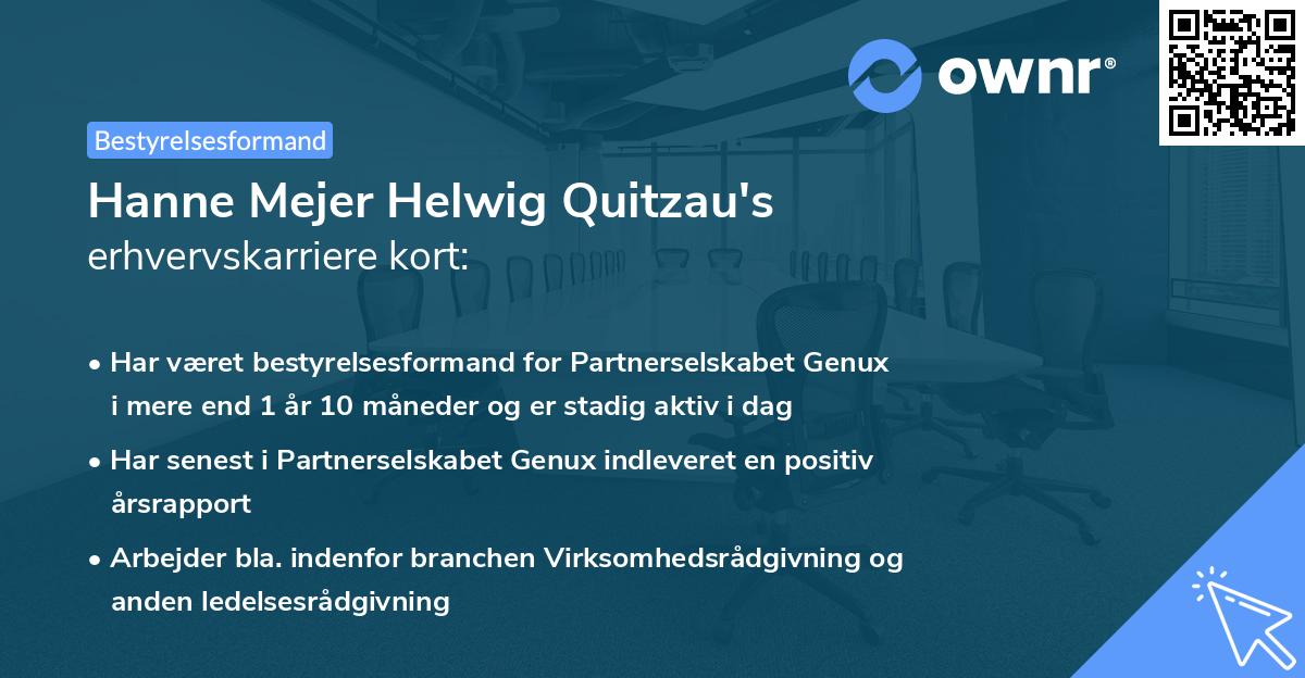 Hanne Mejer Helwig Quitzau's erhvervskarriere kort