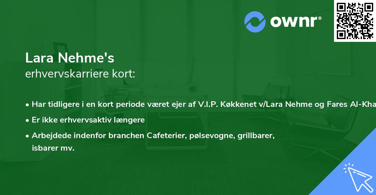 Lara Nehme's erhvervskarriere kort