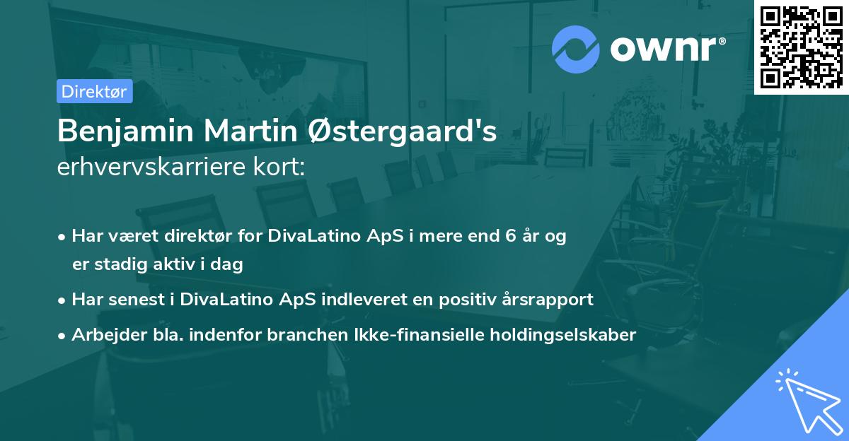 Benjamin Martin Østergaard's erhvervskarriere kort